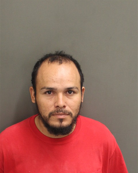  RICARDO ALEXANDER CARIASOSEGUERAS Mugshot / County Arrests / Orange County Arrests
