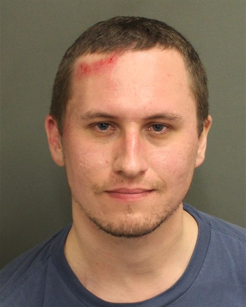  TROY ALAN BIRMINGHAM Mugshot / County Arrests / Orange County Arrests