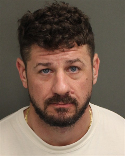  SHEA VINCENT GAUDIO Mugshot / County Arrests / Orange County Arrests