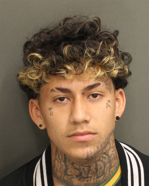  JOSE ORELLANA Mugshot / County Arrests / Orange County Arrests