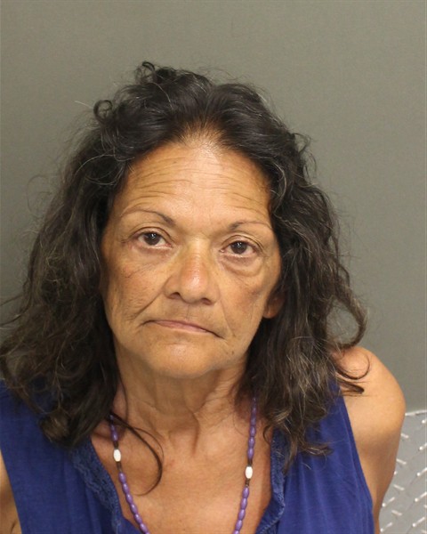  CLOTILDE ARIAS Mugshot / County Arrests / Orange County Arrests