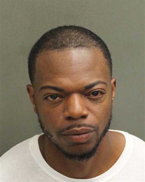  BRENTTON IRELAND Mugshot / County Arrests / Orange County Arrests