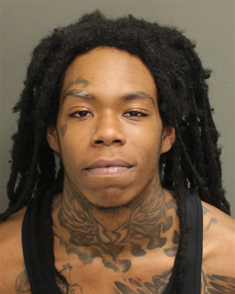  SHANE CORTEZ COLLIE Photo Image