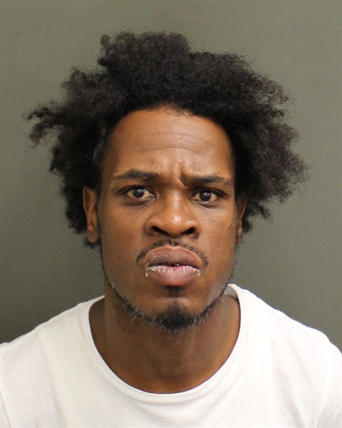  RANDEL R ROSE Photo Image