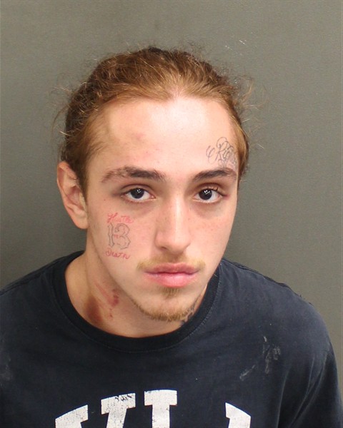  CHRISTIAN JUNIOR ALVAREZ Mugshot / County Arrests / Orange County Arrests