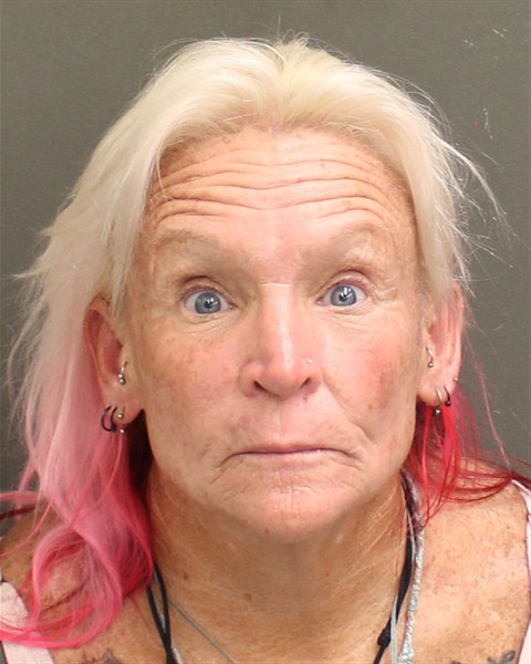  ELISABETH F NOCK Mugshot / County Arrests / Orange County Arrests