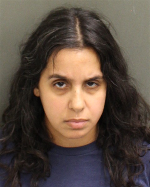  VIONET EDITH SEGARRA Mugshot / County Arrests / Orange County Arrests