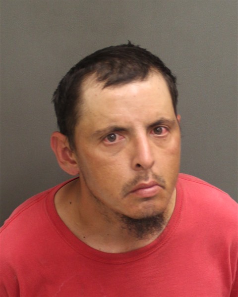  LUIS ALFREDO CASTRO Mugshot / County Arrests / Orange County Arrests