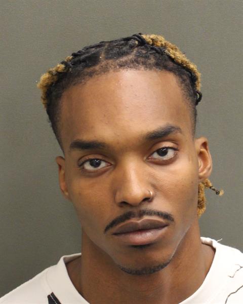  ERNST CLIFFORD BOUTIN Mugshot / County Arrests / Orange County Arrests