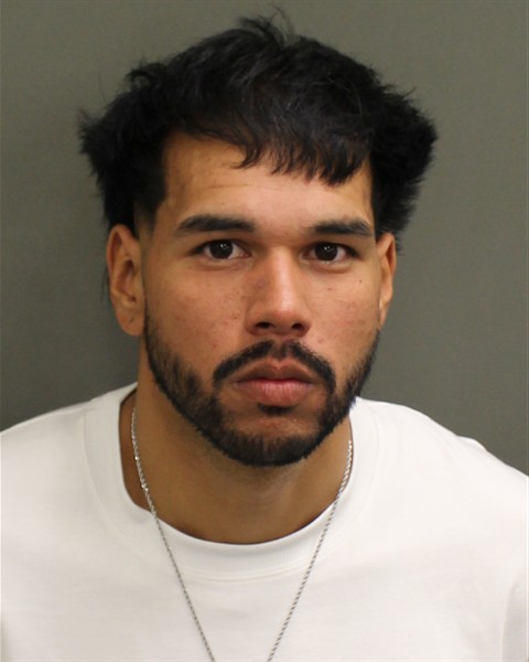  JOSELUIS ALBERTO VARGAS Mugshot / County Arrests / Orange County Arrests