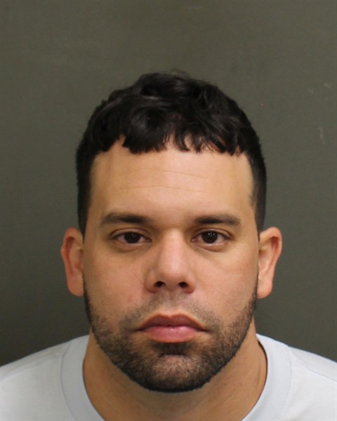 RAIDEL DIAZ Mugshot / County Arrests / Orange County Arrests