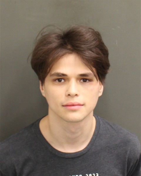  ALEXADER LOKHANOV Mugshot / County Arrests / Orange County Arrests