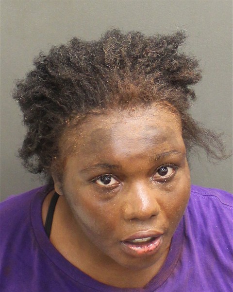  ELIZABETH EINSTEIN Mugshot / County Arrests / Orange County Arrests