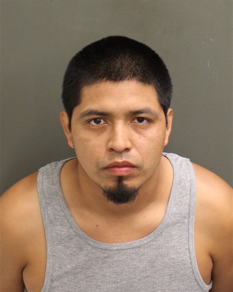  HECTOR DAVID DOMINGO Mugshot / County Arrests / Orange County Arrests