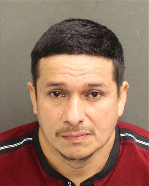  WALTER DENIS MEJIABEJARANO Photo Image