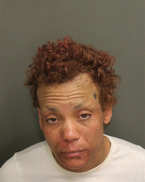  DESIREE JAVON HANSEN Photo Image