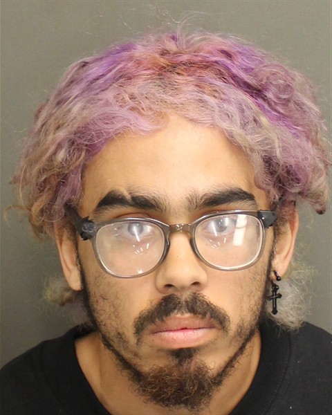  JULIUS PATRICK CEAS LAMBERTY Mugshot / County Arrests / Orange County Arrests