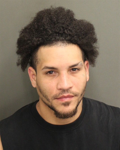  JAN ALBERTO CHARDONNAZARIO Mugshot / County Arrests / Orange County Arrests