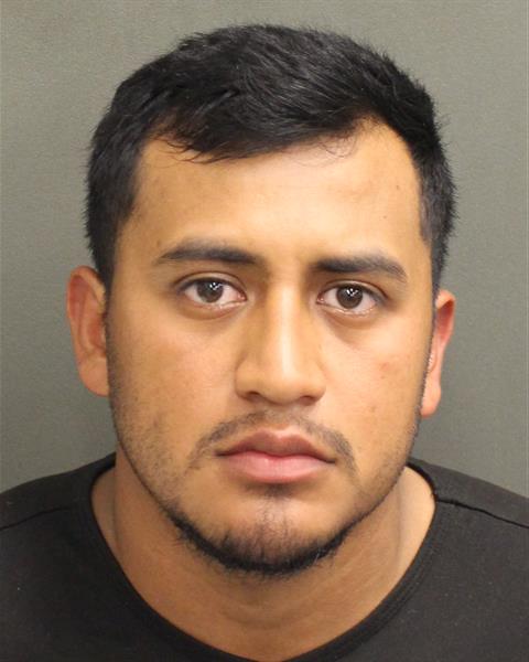  EDY EMANUEL RAMIREZGRIJALVA Mugshot / County Arrests / Orange County Arrests