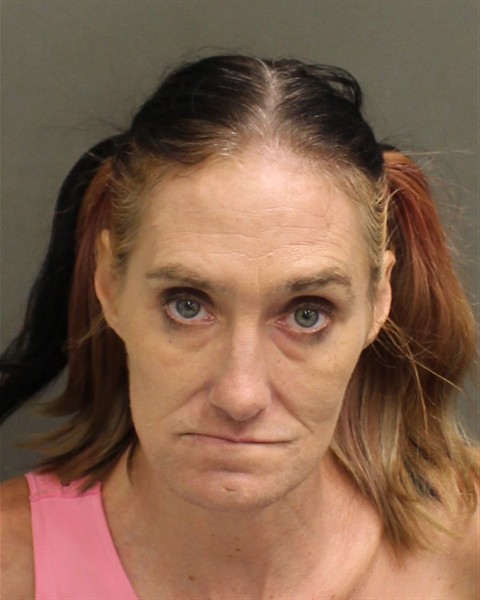  SHANNON MARIE REAGAN Mugshot / County Arrests / Orange County Arrests