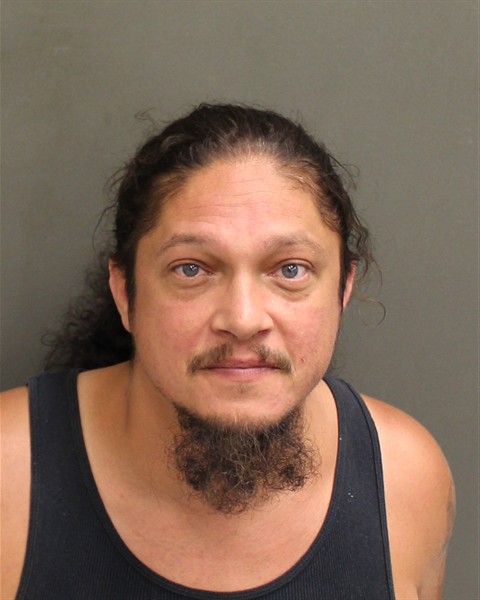  JOSE ANDUJAR Mugshot / County Arrests / Orange County Arrests