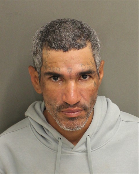  ISRAEL JULIO BAEZMUNIZ Mugshot / County Arrests / Orange County Arrests