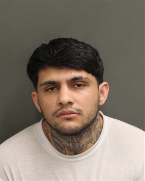  FARHAD S ASEF Mugshot / County Arrests / Orange County Arrests