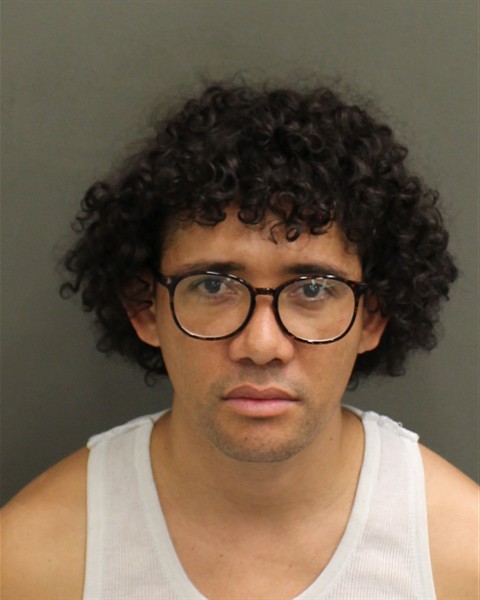  GERMAN DANIEL HERRERACANELAS Mugshot / County Arrests / Orange County Arrests