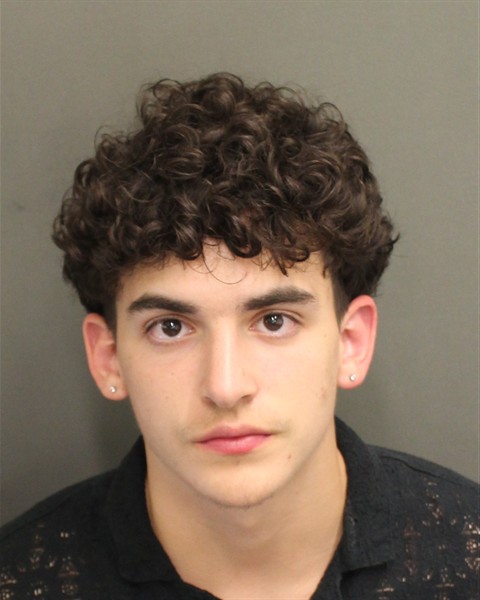  NICHOLAS ALEXANDER REECE Mugshot / County Arrests / Orange County Arrests