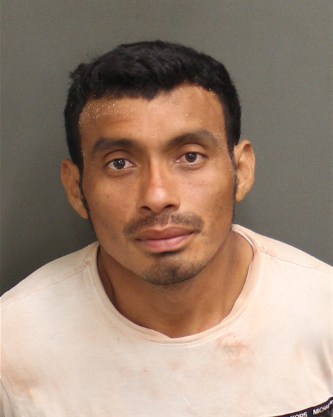  ABNER DAVID MIRANDARODRIGUEZ Photo Image