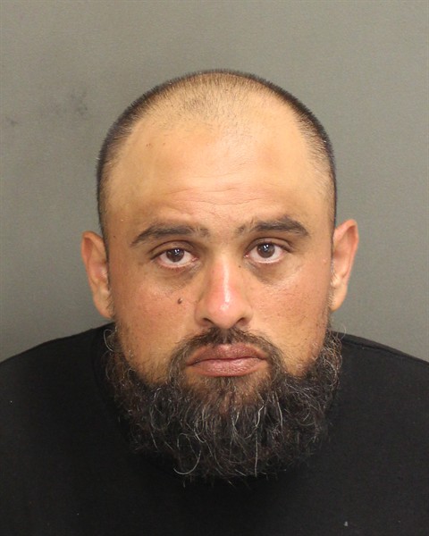  GIOVANI ALZUGARAY Mugshot / County Arrests / Orange County Arrests