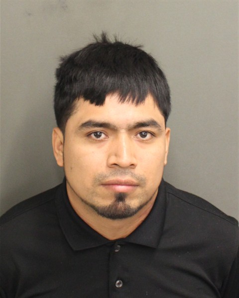  DOMINGO RUIZ AMILCARRENE Mugshot / County Arrests / Orange County Arrests