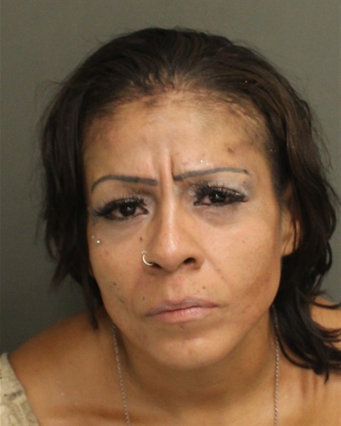  PRISCILLA ANN FERNANDEZ Mugshot / County Arrests / Orange County Arrests