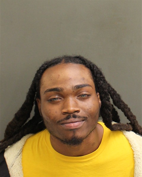  MCNEIL  II FLING Mugshot / County Arrests / Orange County Arrests