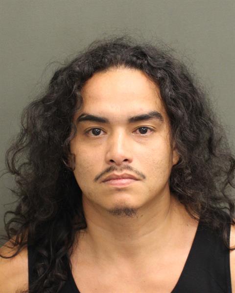  ROMEO LUIS RAMOS Mugshot / County Arrests / Orange County Arrests