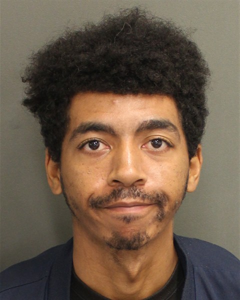  ANTHONY PETER LANE Mugshot / County Arrests / Orange County Arrests