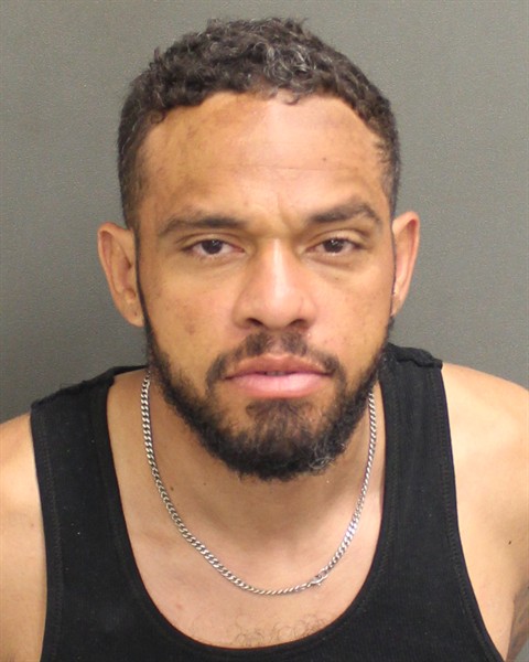  ANGEL ROSALI RIVERAMEJIA Mugshot / County Arrests / Orange County Arrests