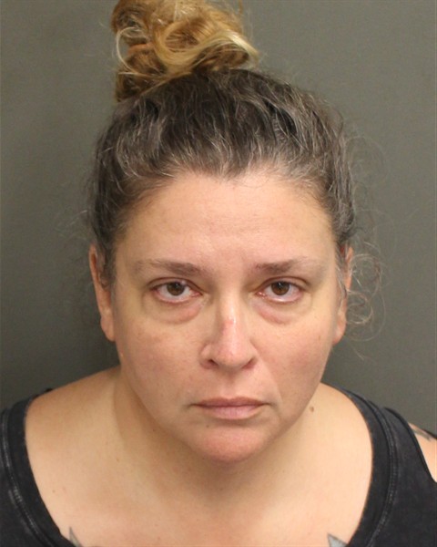  CHASITY MARIE SALEH Mugshot / County Arrests / Orange County Arrests