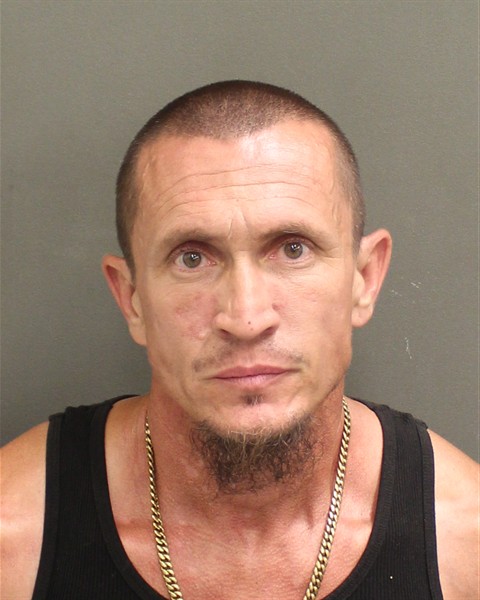  RONALD NORMAND II LAPOINTE Mugshot / County Arrests / Orange County Arrests