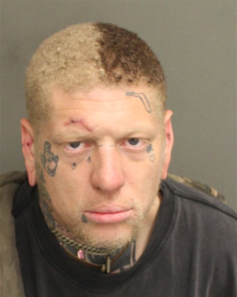  STEVEN ALEXANDER LONG Mugshot / County Arrests / Orange County Arrests