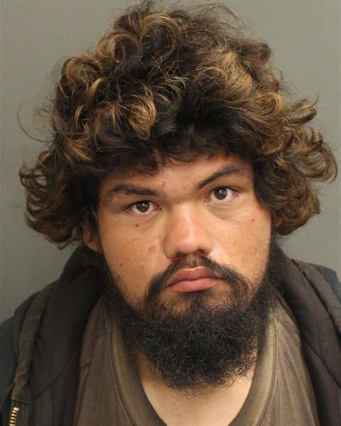  JORGE SANCHEZCASILLAS Mugshot / County Arrests / Orange County Arrests
