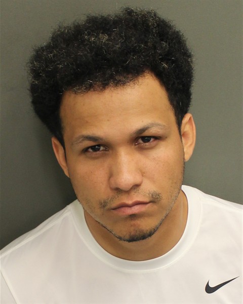  GREGORY JOSE LANDAETABRICENO Mugshot / County Arrests / Orange County Arrests
