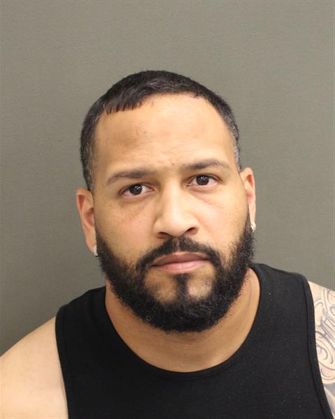  LUIS MANUEL ENCARNACION Mugshot / County Arrests / Orange County Arrests