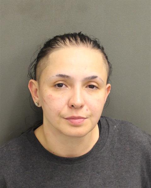  CLAUDIA ELIZABETH RIOS Mugshot / County Arrests / Orange County Arrests
