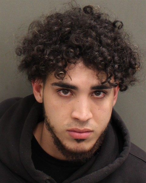  CHRISTIAN ALFREDO GALLORUIZ Mugshot / County Arrests / Orange County Arrests