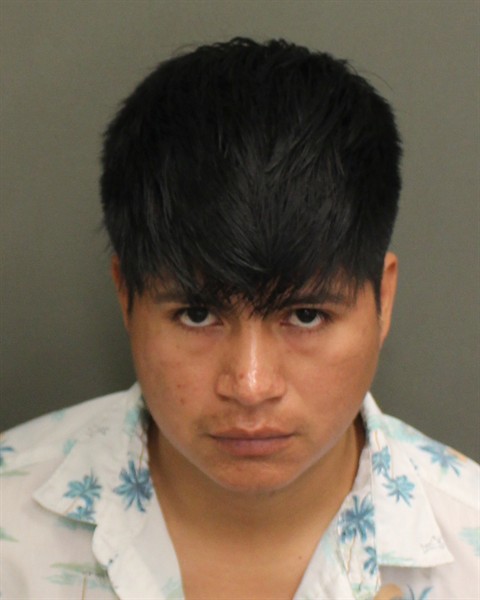  WALDEMAR LEONEL DOMINGORUIZ Mugshot / County Arrests / Orange County Arrests