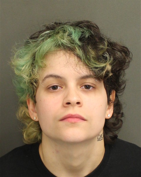  LIANA BARZAGA Mugshot / County Arrests / Orange County Arrests