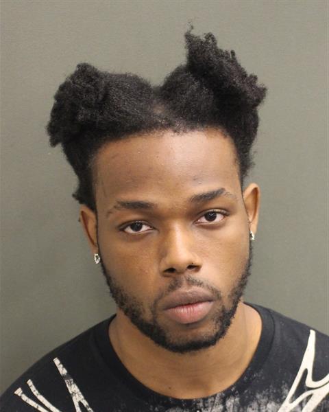  MICHAEL JUNIOR II GAMMAGE Mugshot / County Arrests / Orange County Arrests