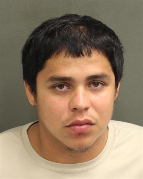  DENIS JOSUE ROCHAREYES Mugshot / County Arrests / Orange County Arrests