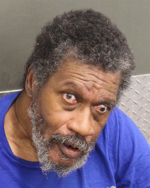 VERNON LEE ADAMS Mugshot / County Arrests / Orange County Arrests